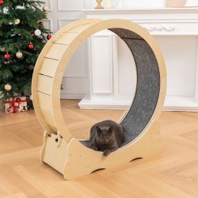 Cat Exercise Wheel,Ferris Cat Wheel Exerciser for Indoor Cats, Cat Treadmill Wheel with Carpeted Runway, One Fast Cat Exercise Wheel, Cat Runner Great