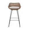 Outdoor 29.25'' Wicker and Iron Barstool with Cushion (Set of 2)