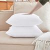 Qeils  Pillow Inserts Set of 2 White Throw Pillow Inserts with Soft Polyester Cover - Rectangle Square Interior Sofa Pillow Inserts Decorative Pillow